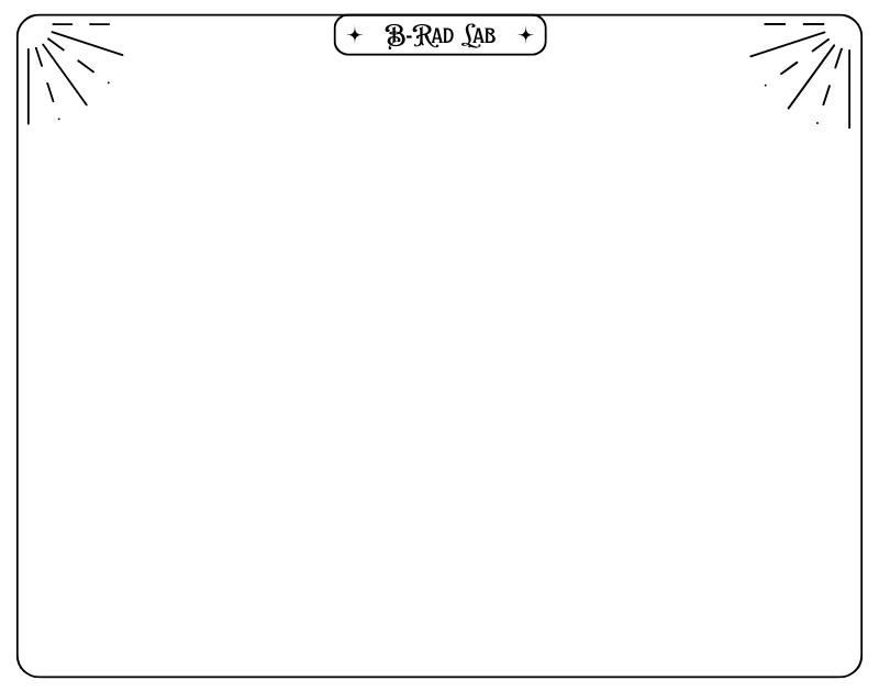 Quiz Container Background